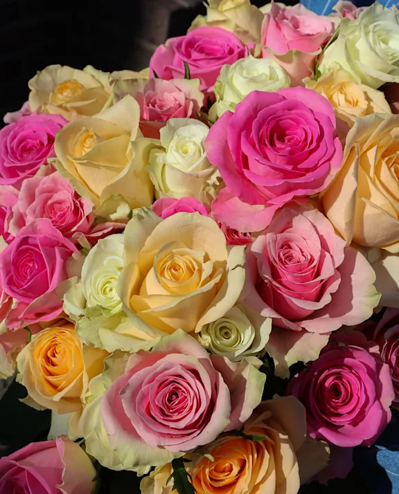 VDP-Roza Plaza- Rozen Mix-0425-verkleind-01