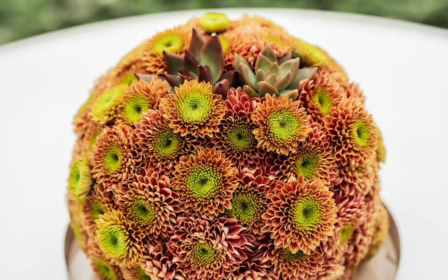 Zentoo-Souvenir-Orange-1.2