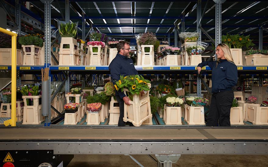 VDP - Employees in the cube with flowers (1)