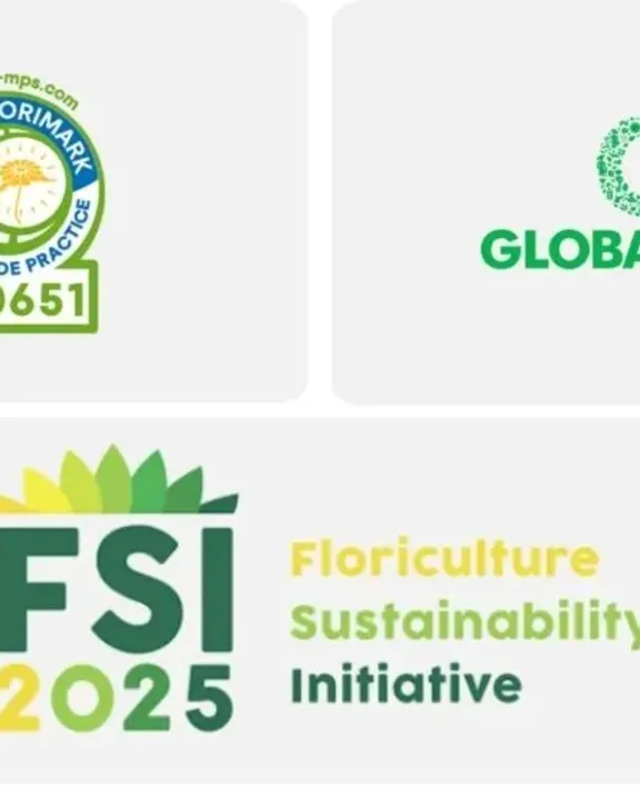 Pflanzen Großhandel 9