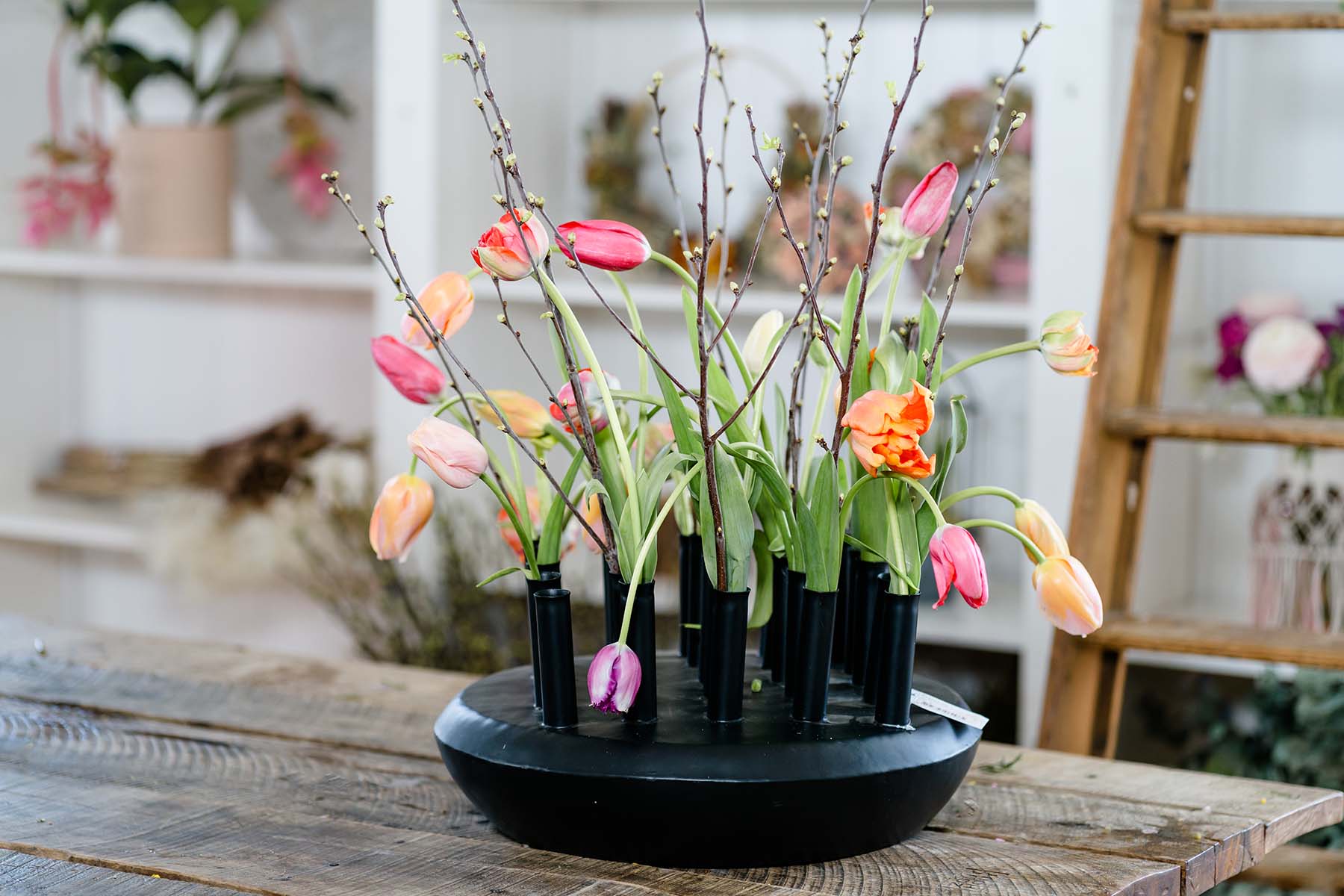 Van der Plas voorjaar bloemen en planten219