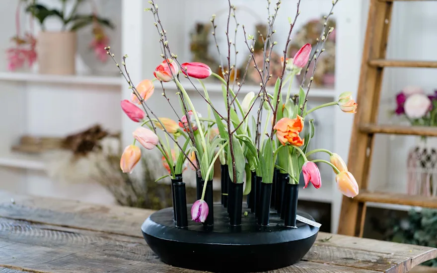 Van der Plas voorjaar bloemen en planten219