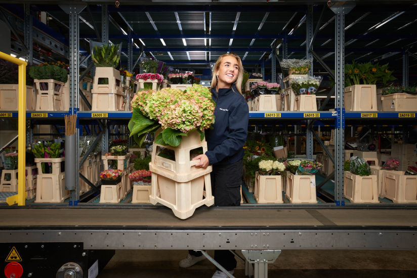 VDP - Employee in the cube with flowers (1)
