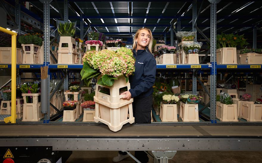 VDP - Employee in the cube with flowers (1)