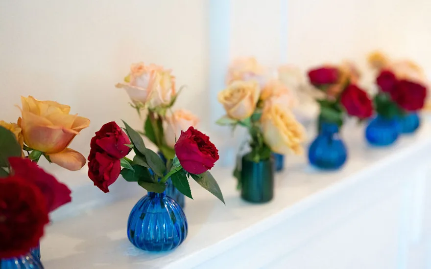 AmieBoneBelgravia-67