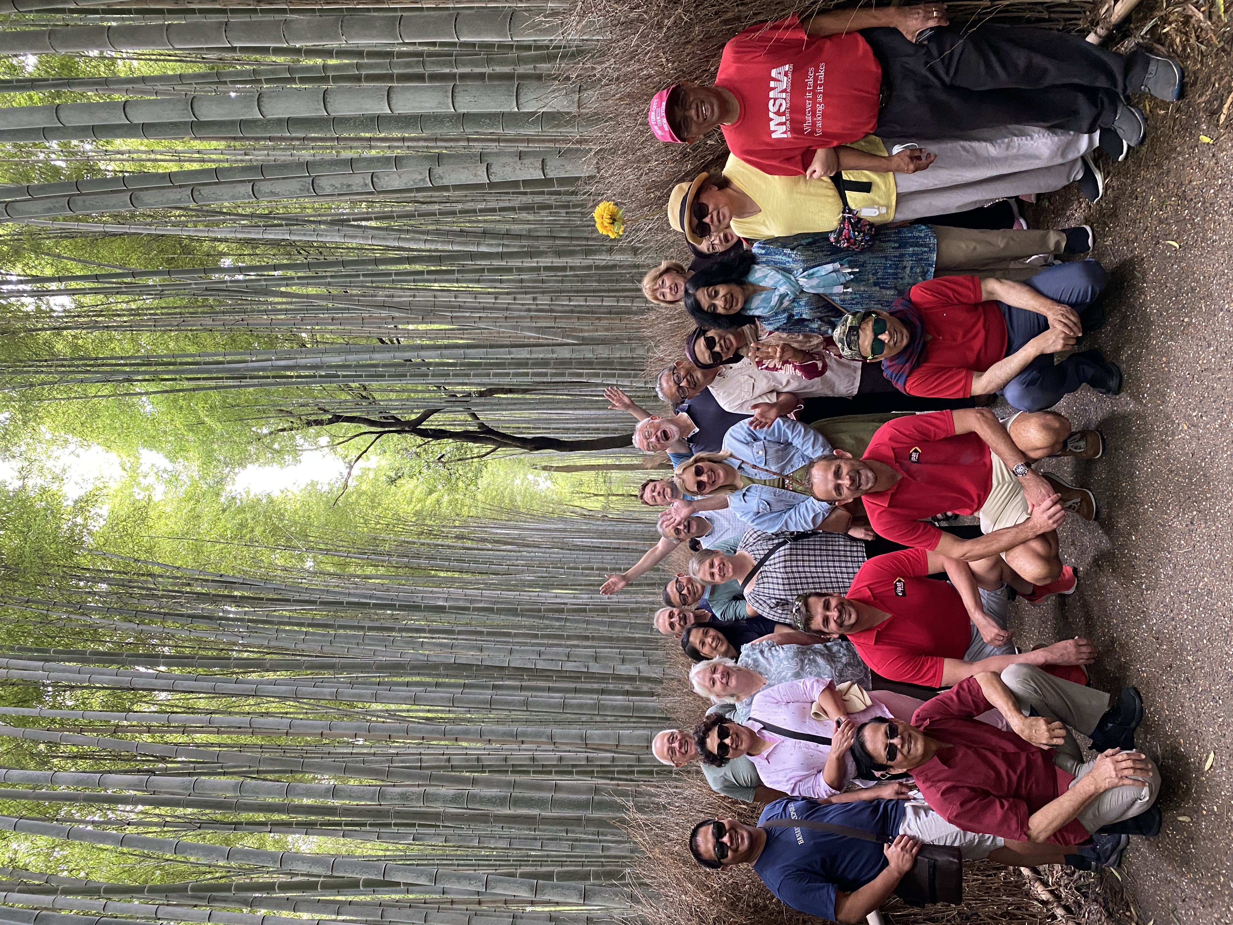 Arashiyama-Bamboo-Forest-Expat-Explore-group-Japan-instagram-_travelingdepression_