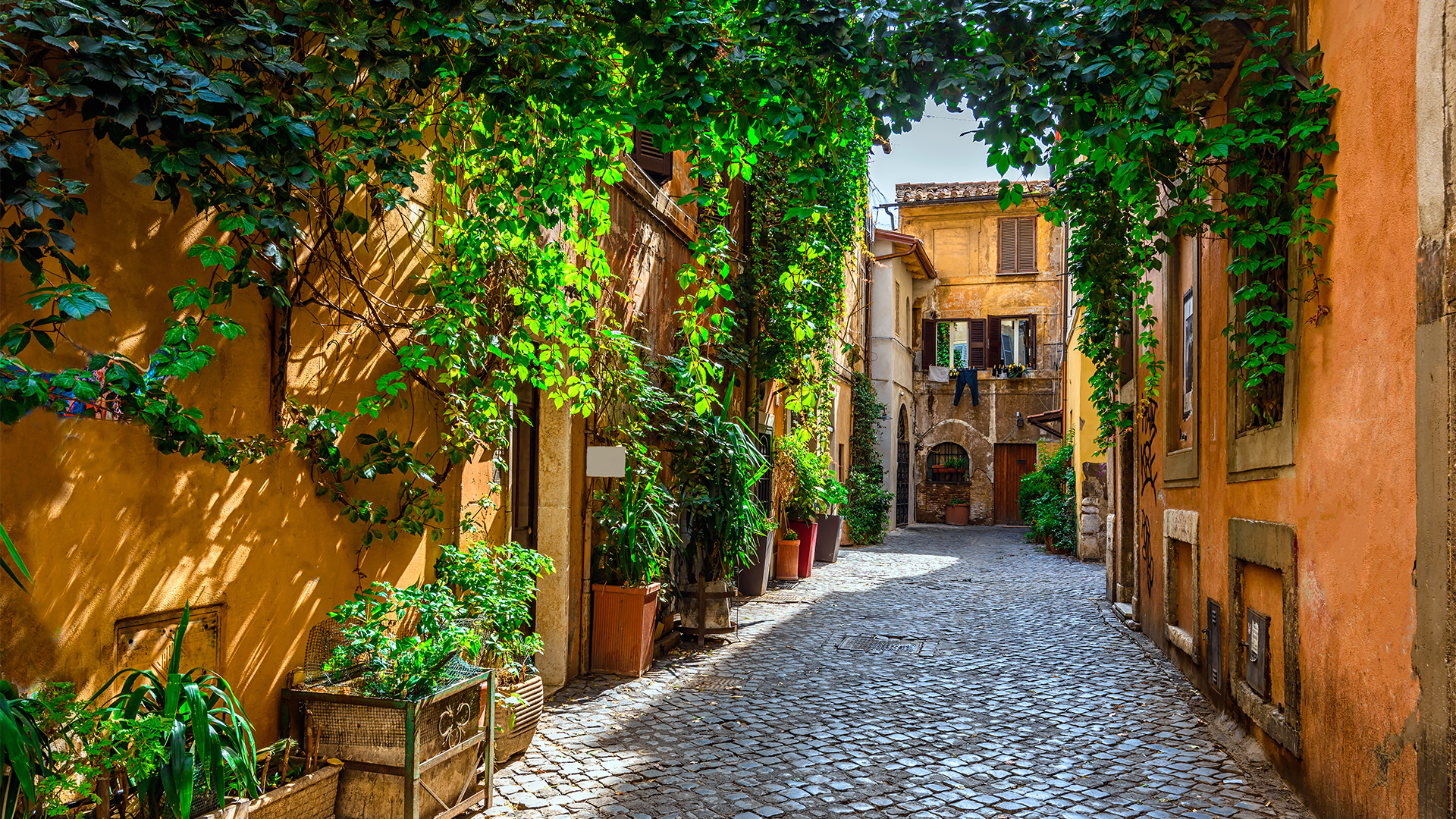 an-evening-in-trastevere-optional-excursion