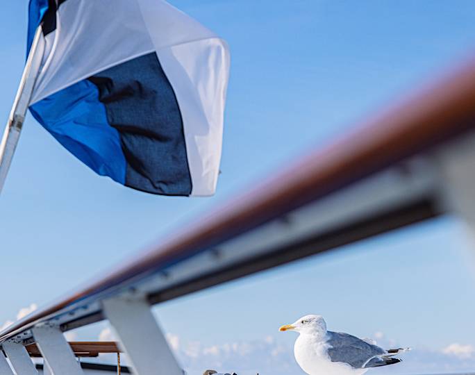 helsinki-to-tallinn-ferry-crossing-winter-experience