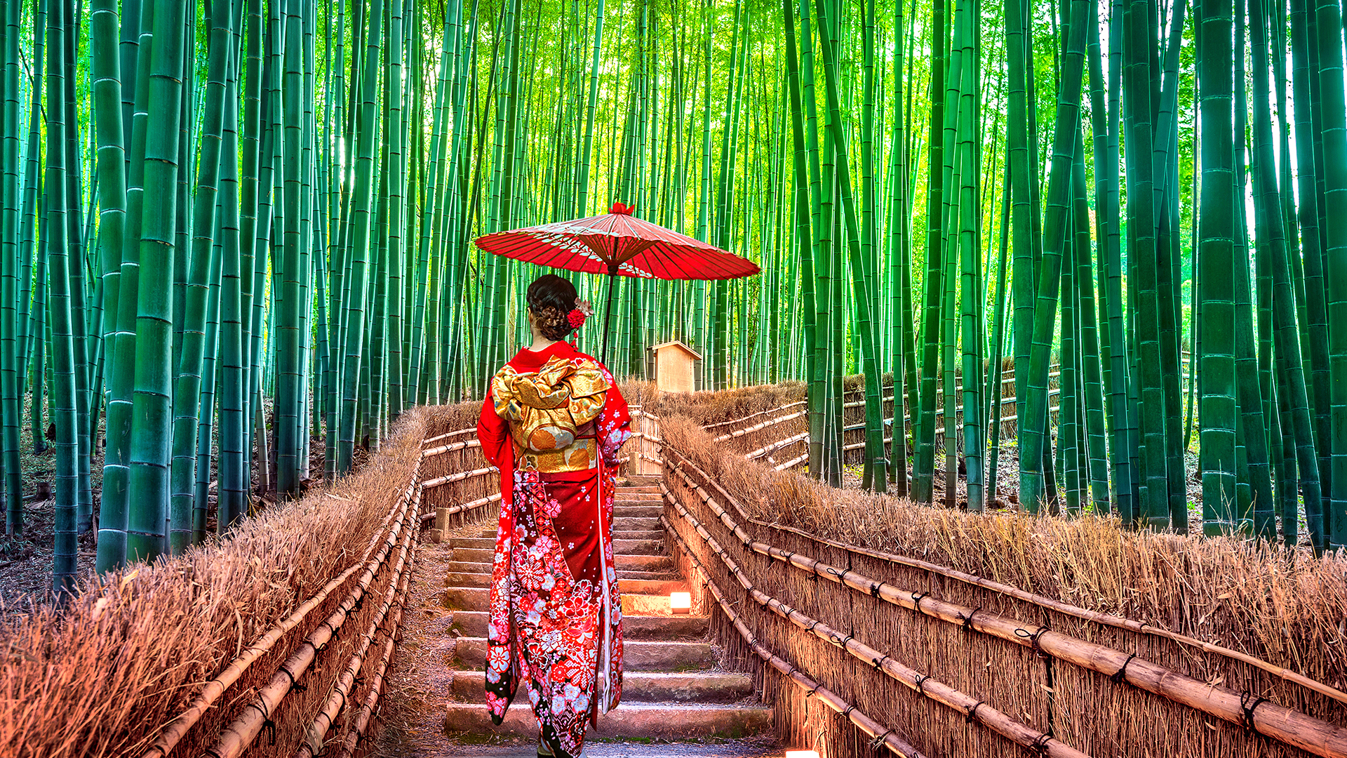 Travel to Asia - Explore Asia Tours - Expat Explore