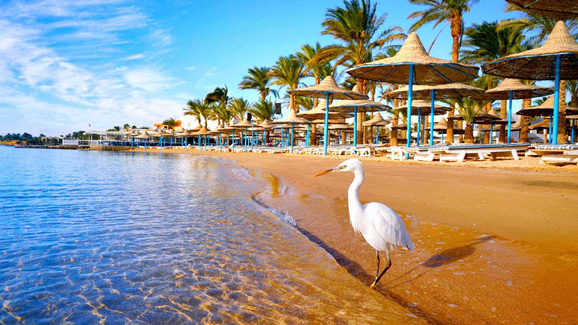 day7-egypt-hurghada-red-sea-view