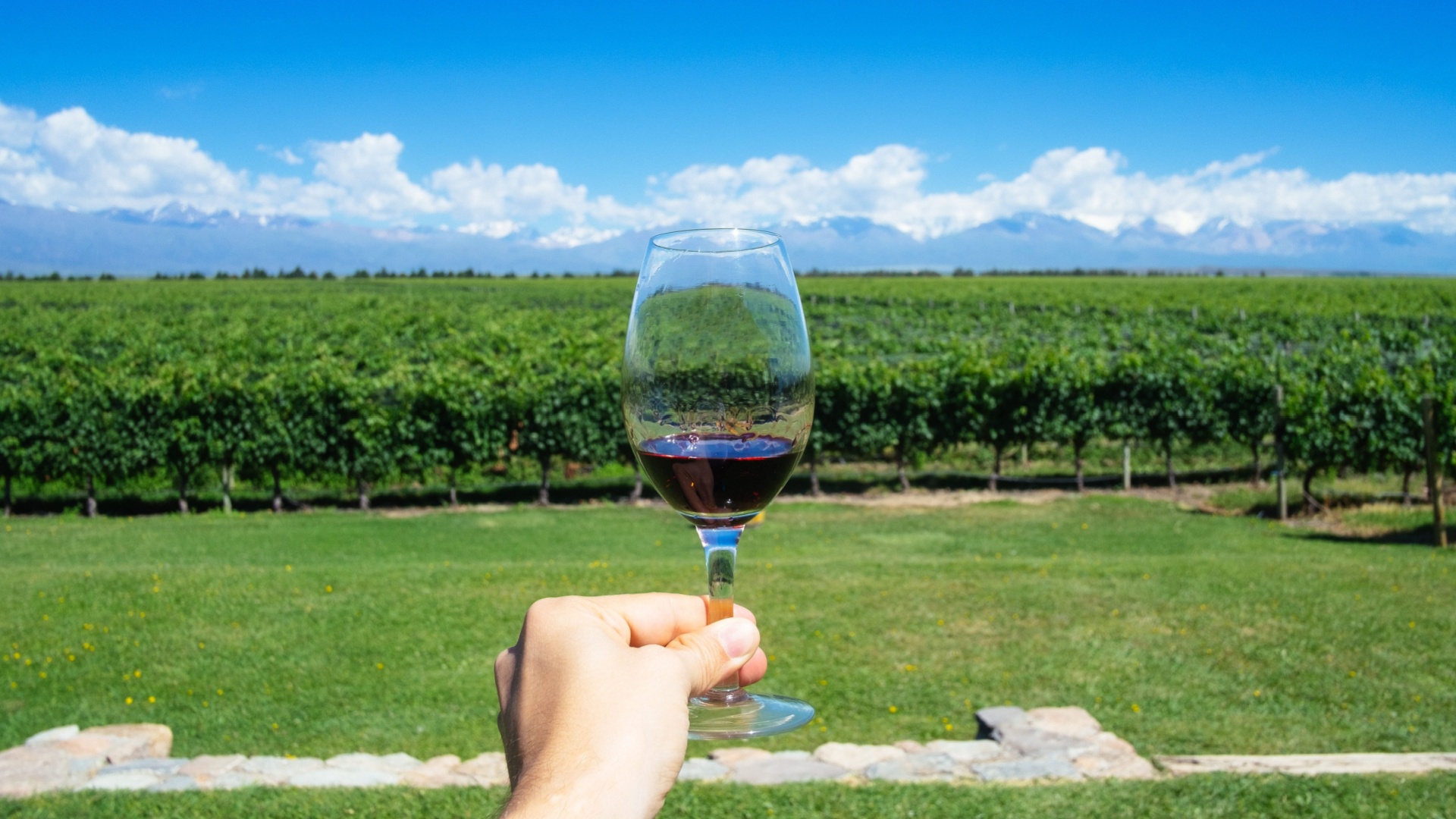 mendoza-wine-experience-half-day-optional-excursion