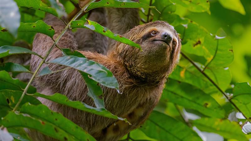 costa-rica-country-listing-page-manuel-antonio-national-park
