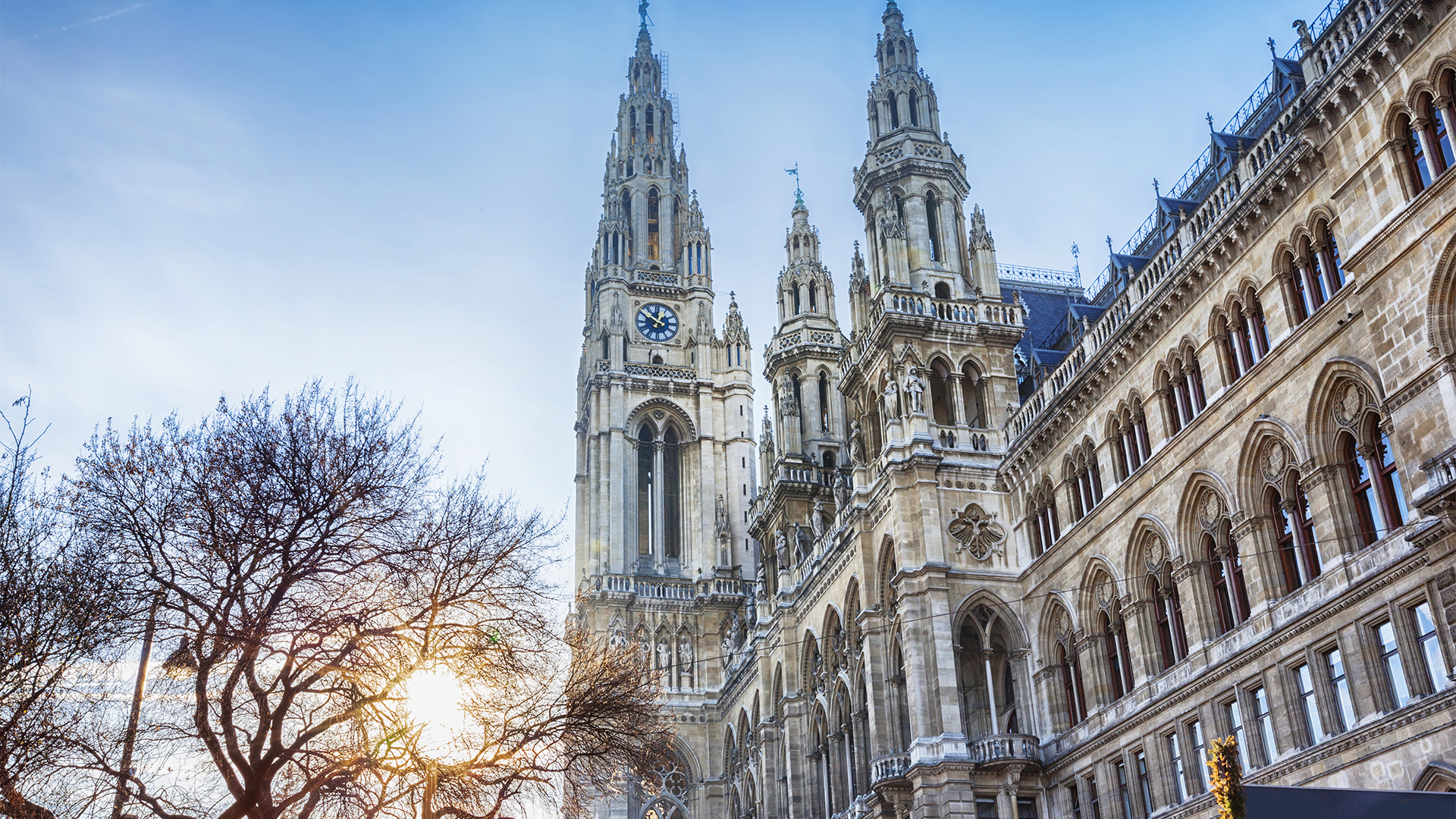 vienna-austria-rathaus-christmas-market-swiper-hero-gallery