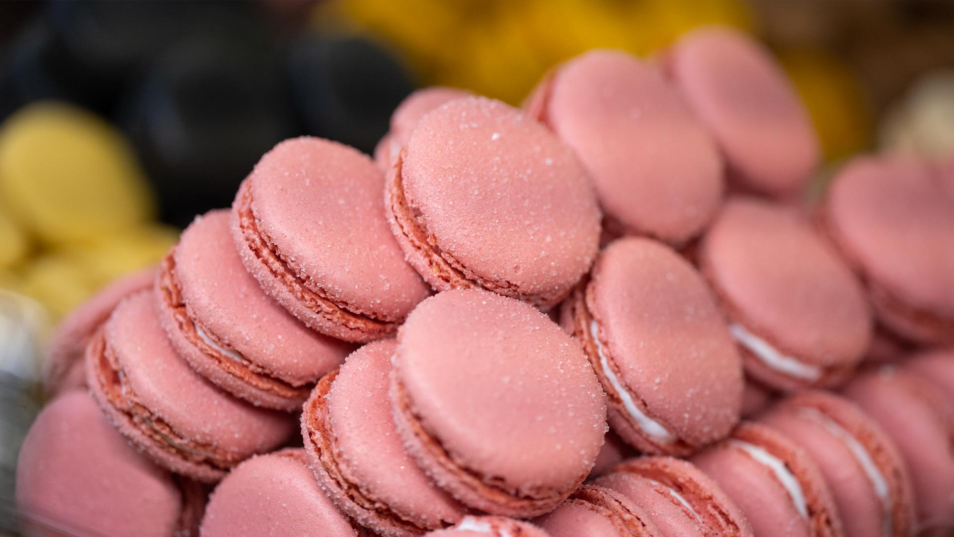 France-Paris-food-macaron