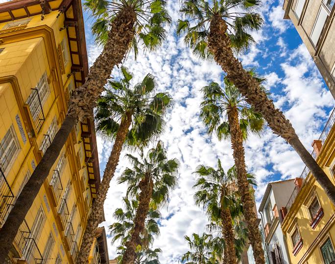 soak-up-the-sun-in-costa-de-sol-experience
