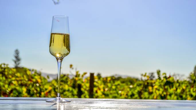 taste-local-wine-in-the-cape-winelands-experience