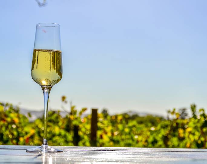 taste-local-wine-in-the-cape-winelands-experience