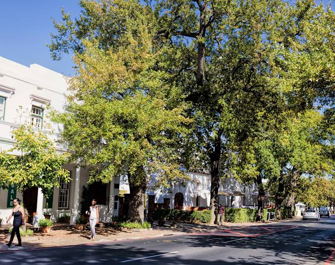 visit-stellenbosch-experience