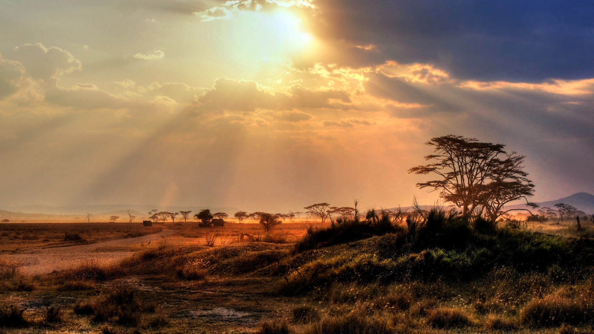 kruger-national-park-region-nature-sunset-south-africa