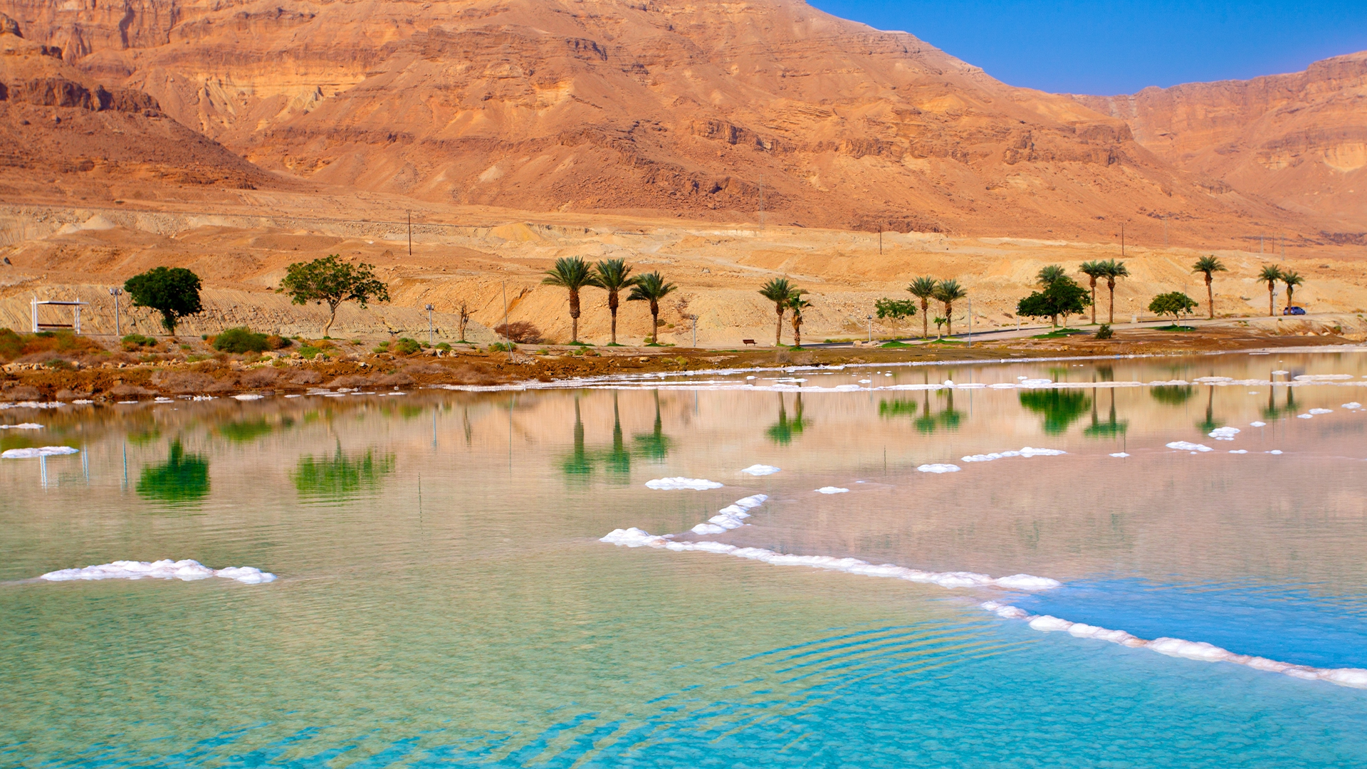 day14-Egypt-Jordan-Felucca-dead-sea