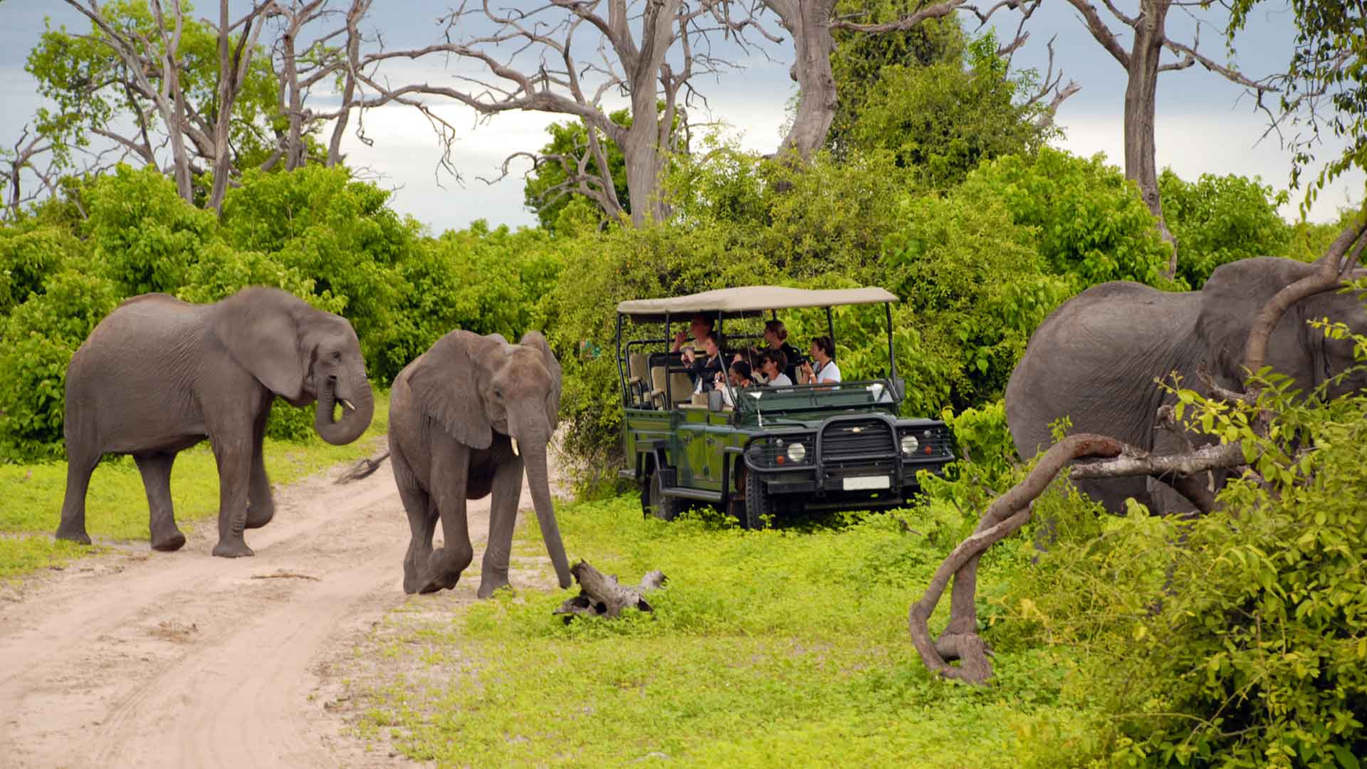 day3-kruger-national-park-safari-tour-and-panorama-route