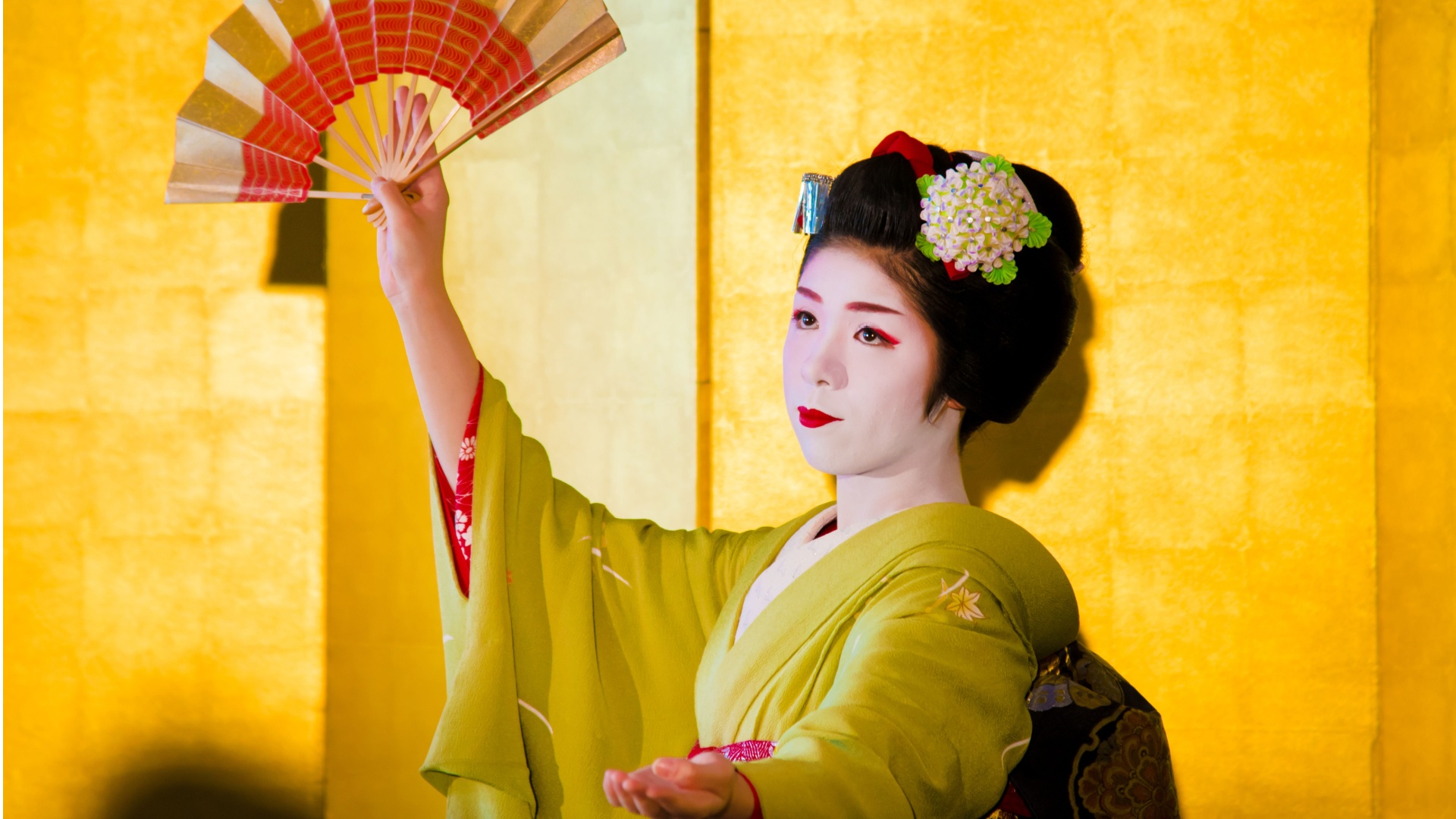 an-evening-in-kyoto-optional-excursion