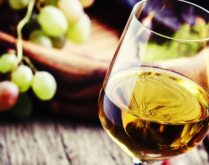 rhine-valley-wine-tasting-winter-experience