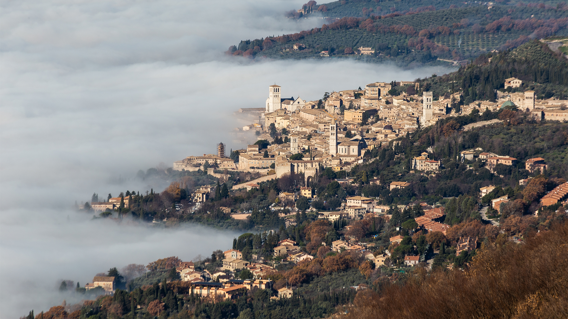 Assisi-town-Italy-aerial-view