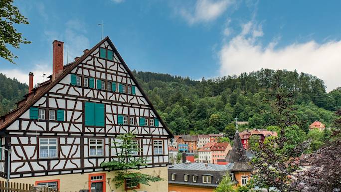 visit-triberg-experience