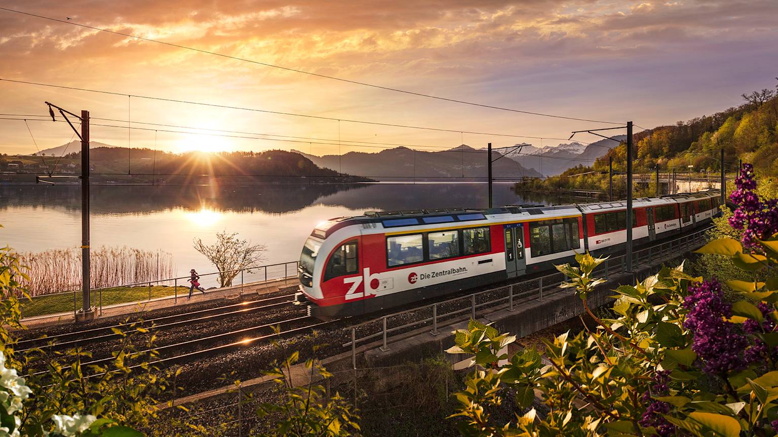 swiss-train-lake-sunset