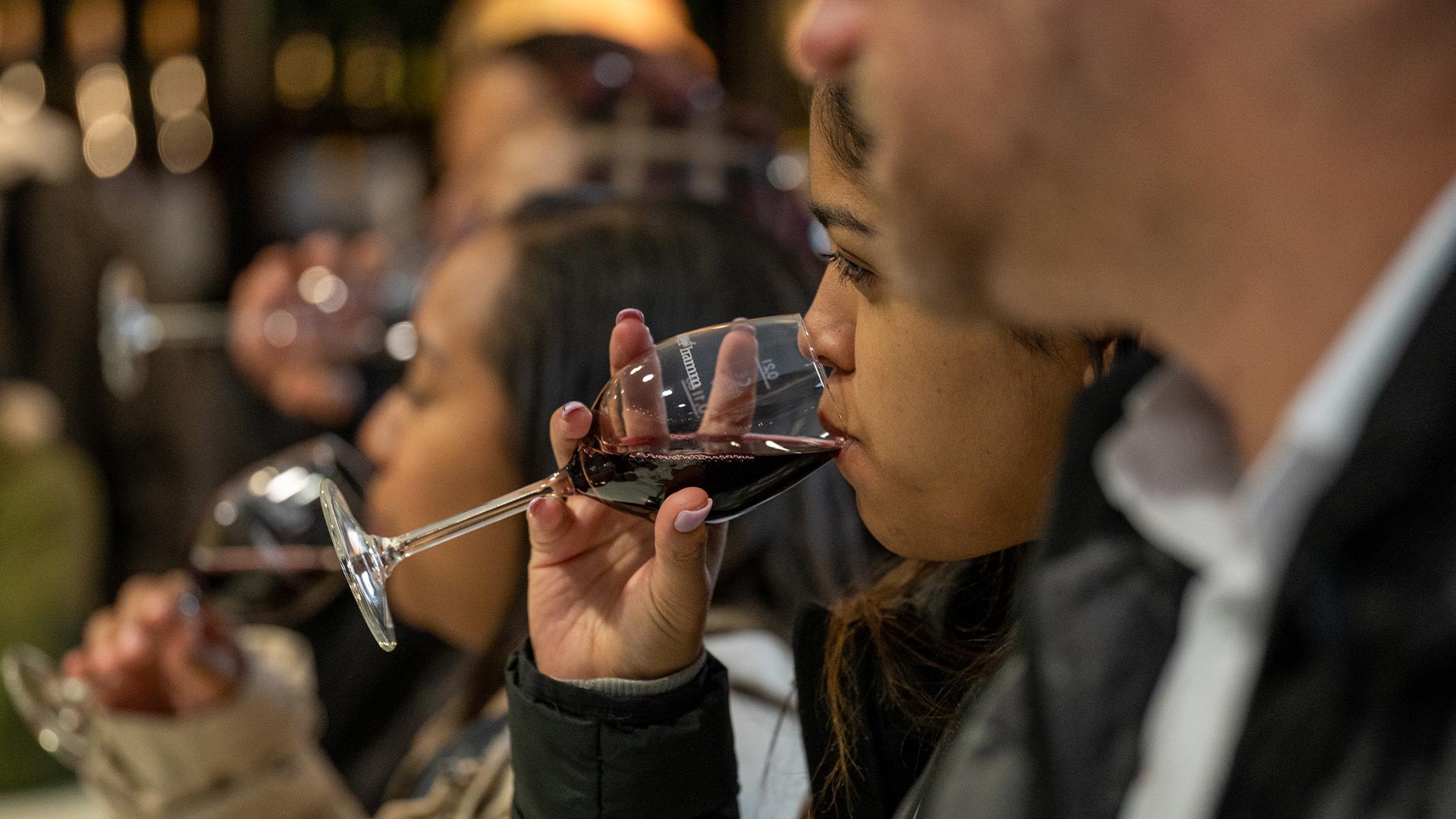 Europe Taster - Rhine-Valley