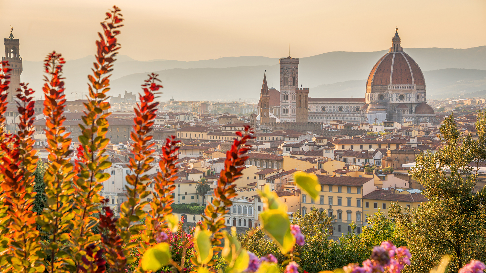 aerial-view-florence-basilica-santa-maria-del-fiore-tuscany-italy-swiper-hero-gallery