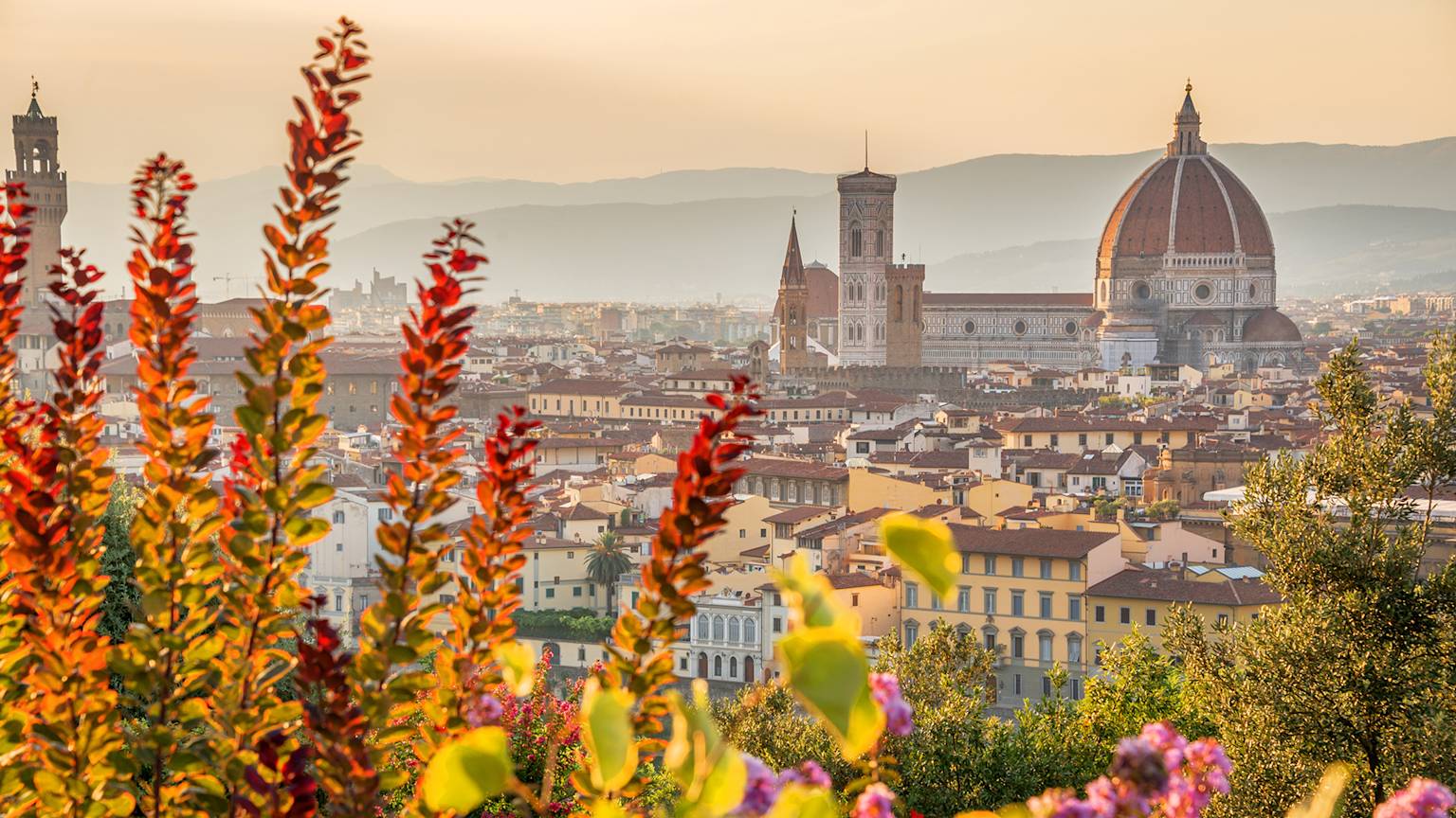 aerial-view-florence-basilica-santa-maria-del-fiore-tuscany-italy-swiper-hero-gallery
