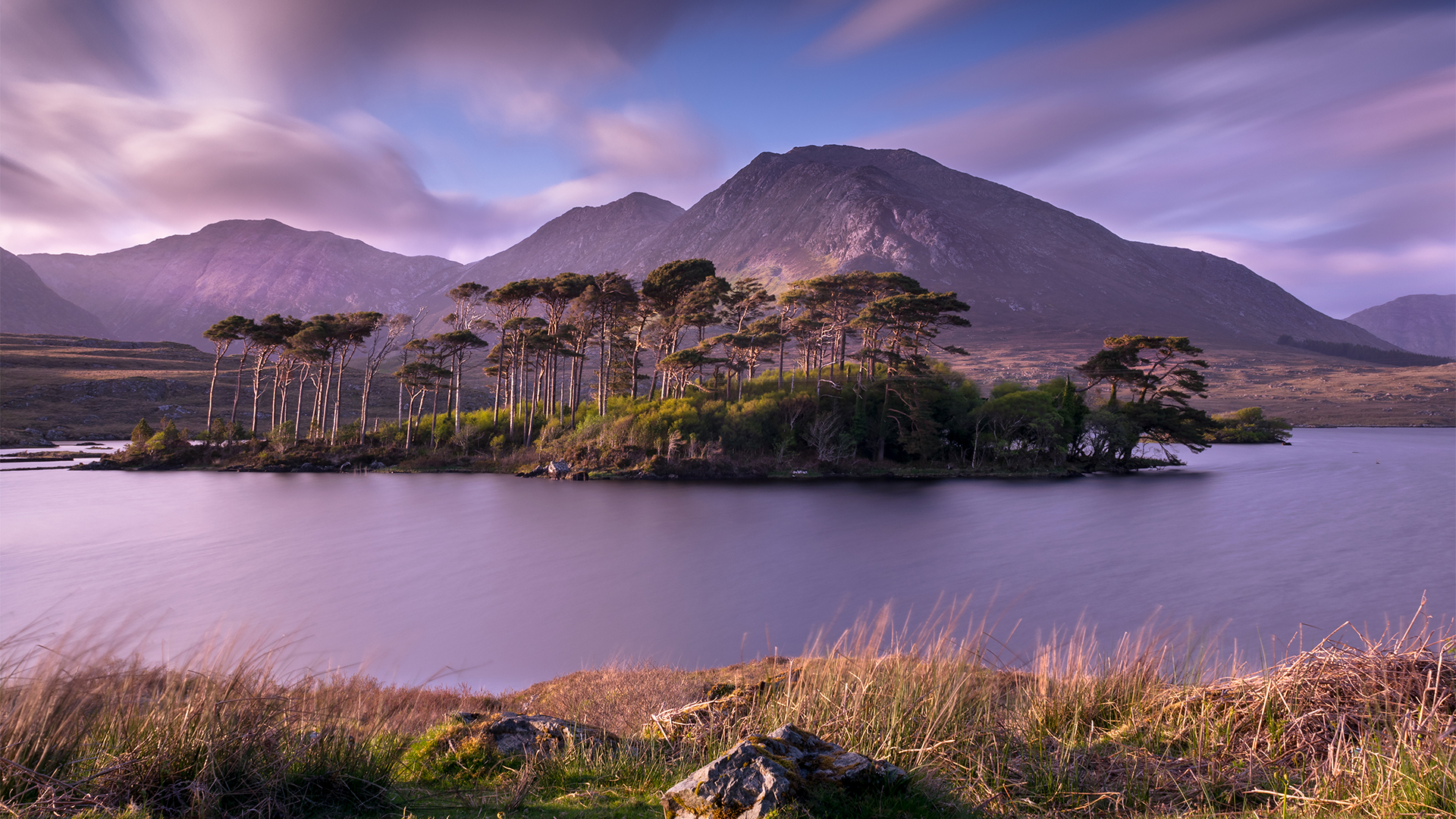 Pine-Island-Connemara-Ireland