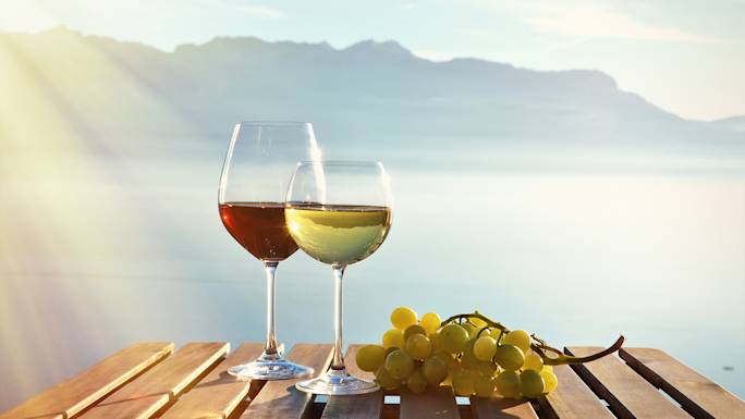 enjoy-wine-tasting-lunch-at-lavaux-included-experience