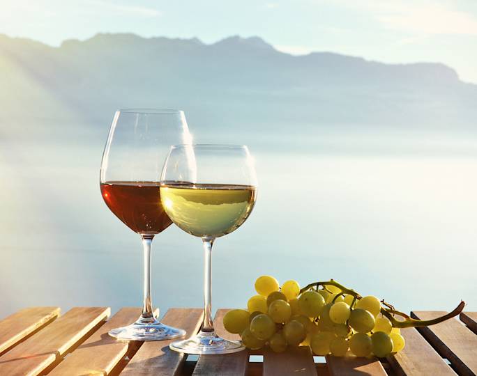 enjoy-wine-tasting-lunch-at-lavaux-included-experience