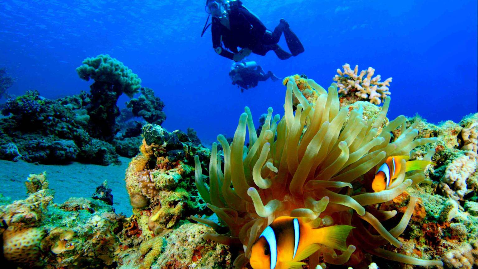 day7-egypt-hurghada-diving-red-sea-egypt-nile-jewel