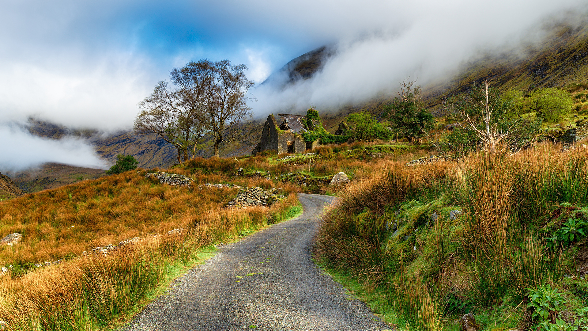 killarney-old-cottage-ireland-swiper-hero-gallery