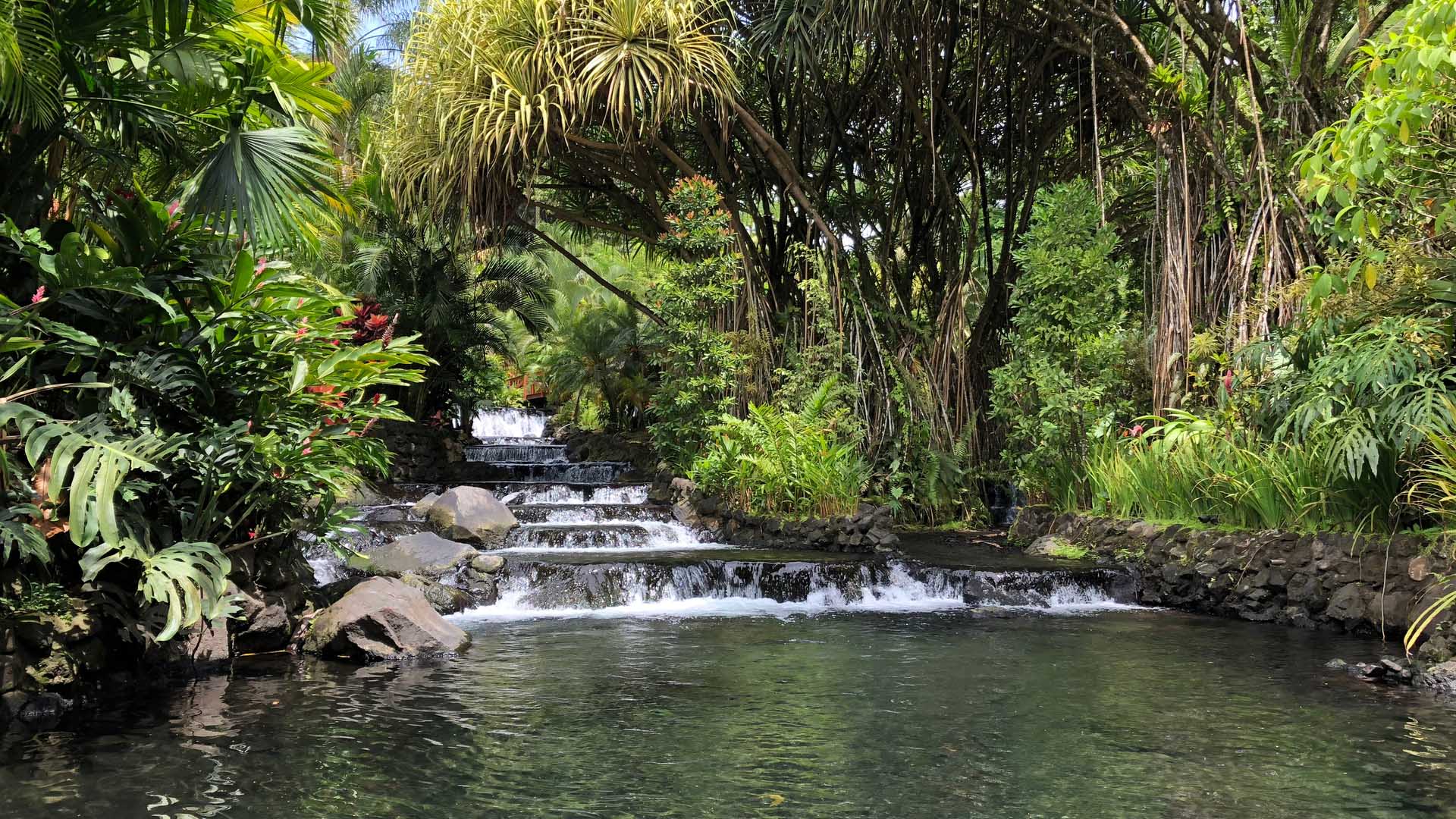 south-america-guided-group-tours-excursion 0036 arenal-hot-springs-and-dinner-experience
