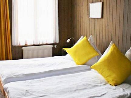 Jungfrau-Region-hotel-alpina-kandersteg-twin-room