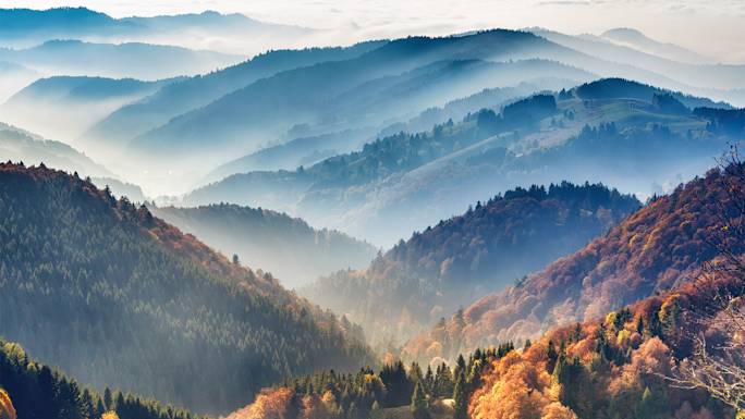 scenic-black-forest-drive-experience