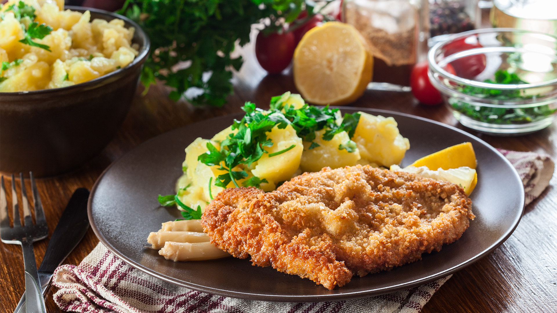 Viennese-cuisine-schnitzel