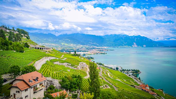 lavuax-wine-tasting-with-dinner-optiona-excursion
