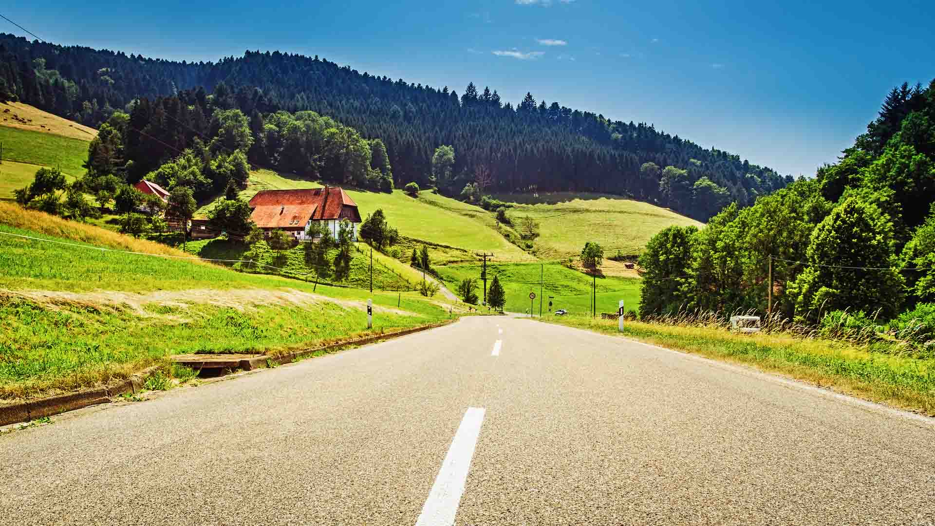 black-forest-germany-road-summer-driving-vacation