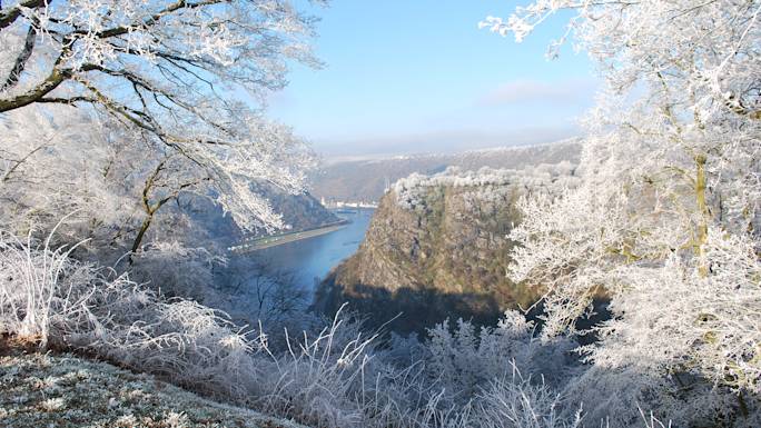 rhine-river-cruise-winter-experience
