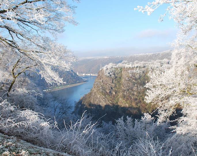 rhine-river-cruise-winter-experience