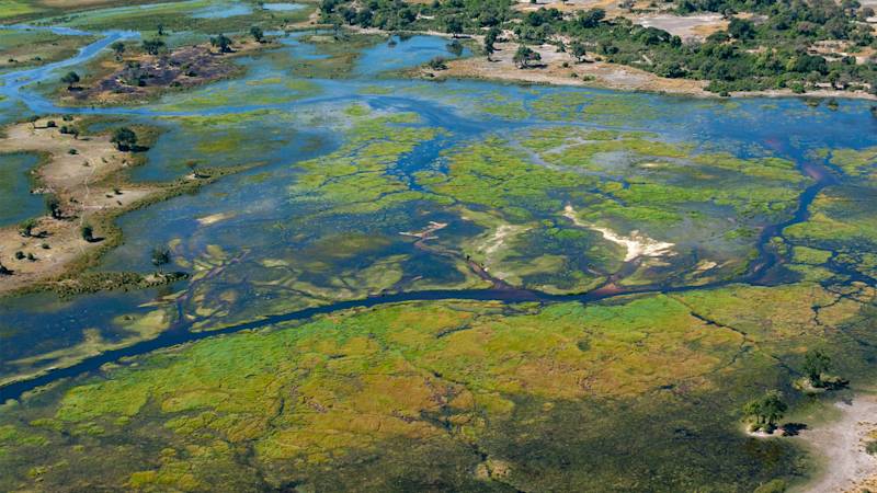 botswana-listing-page-okavongo-delta