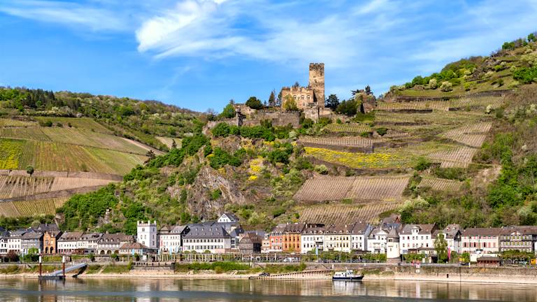 Zurich to Amsterdam: Switzerland Touring & Rhine River Cruise