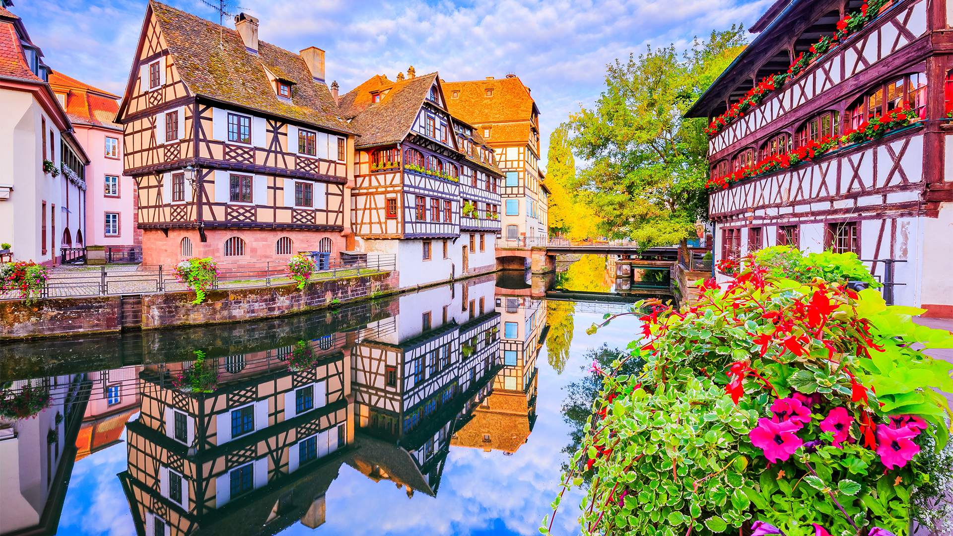 strasbourg-france-alsace-traditional-half-timbered