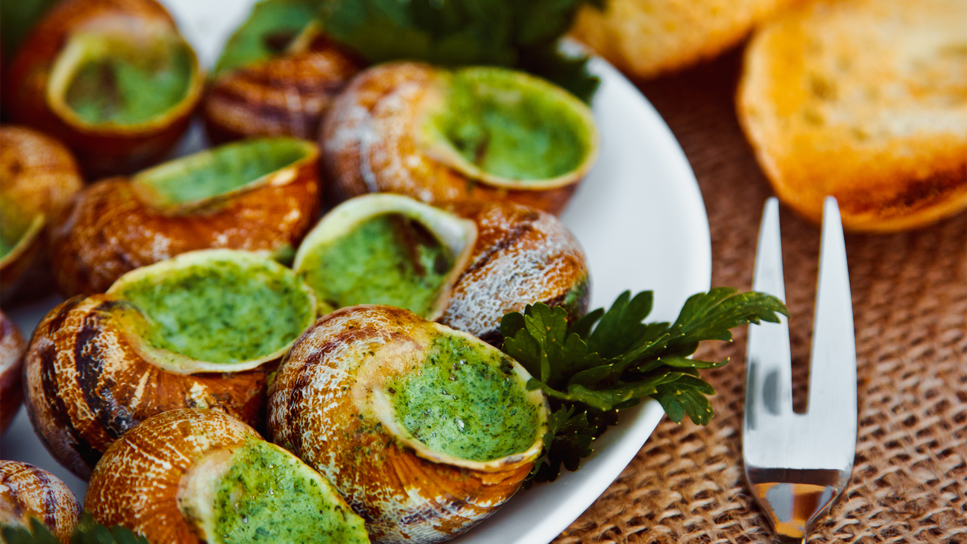 paris-dinner-snails-escargot-swiper-hero-gallery